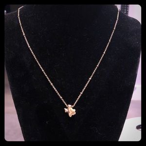 Texas necklace